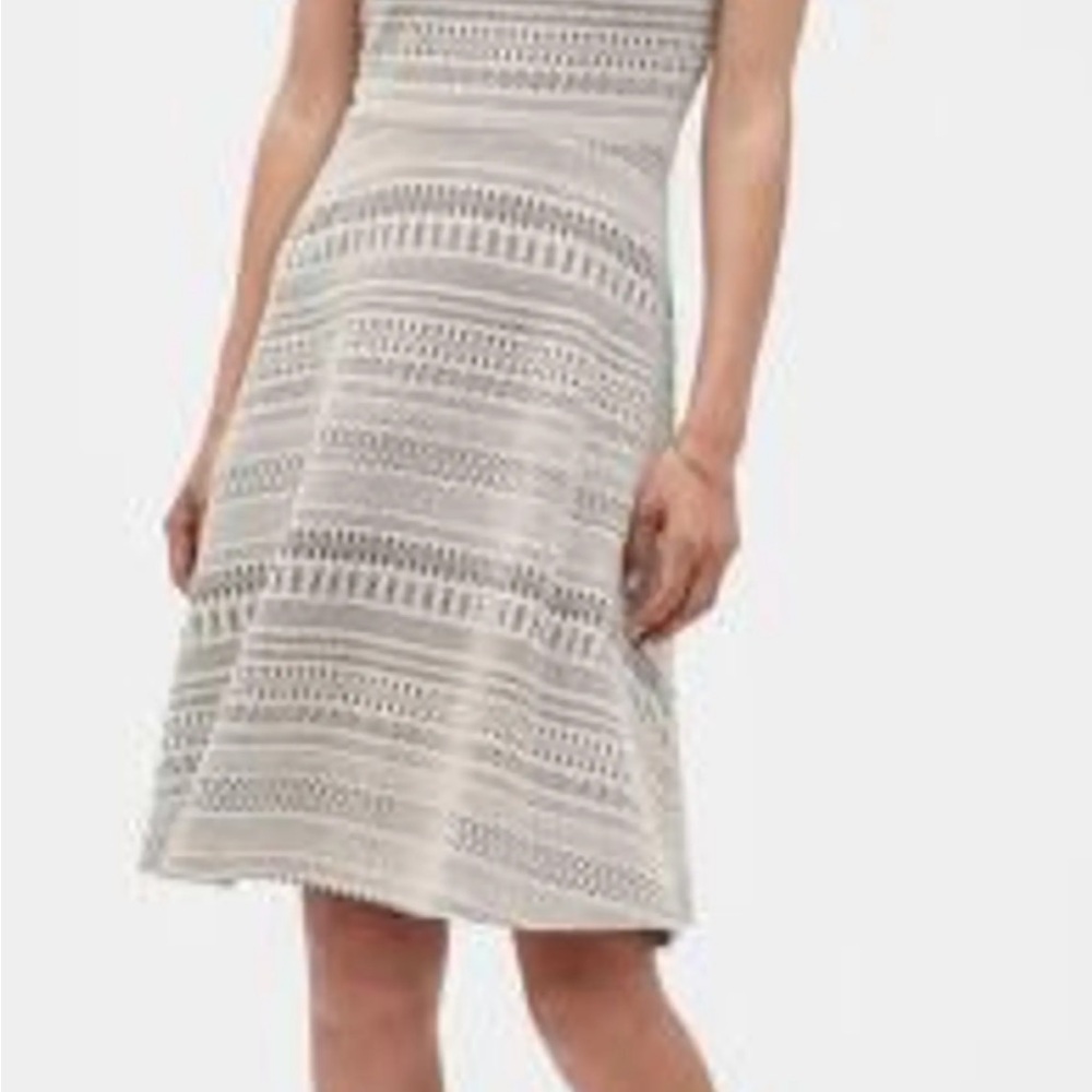 Banana Republic Black and White Mini Dress